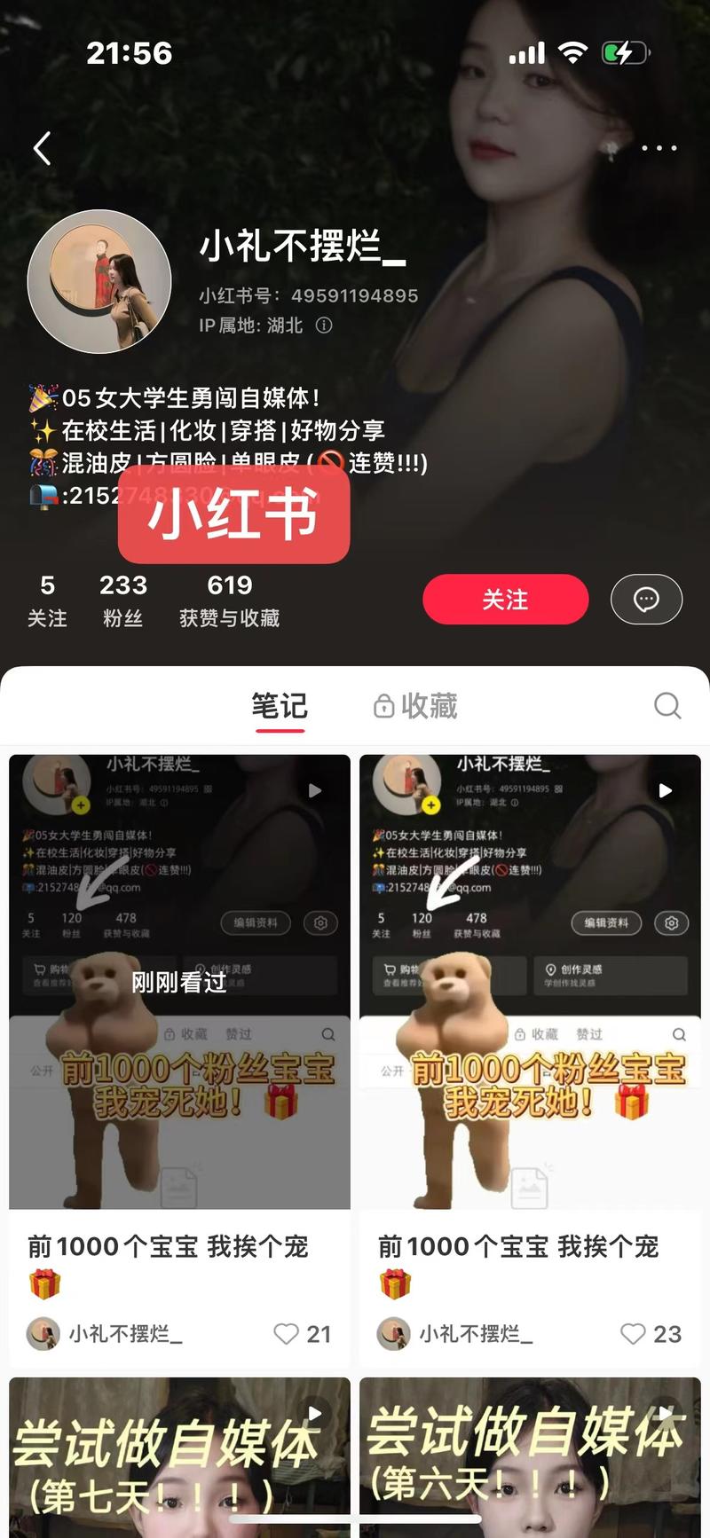 养成系博主：做自媒体的…#情报-搞钱线报📢论坛-网创交流-优创圈